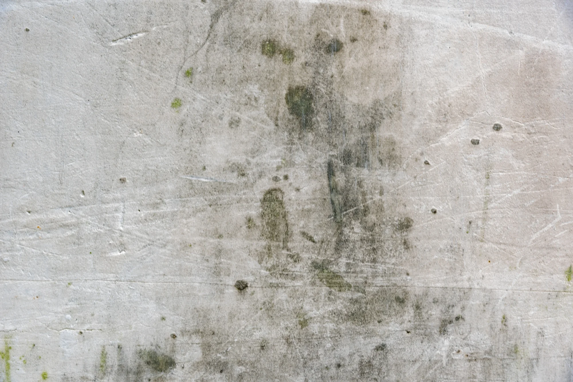 Cómo combatir la humedad en casa